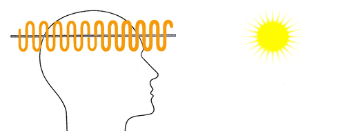 bioshield pro 2 vegamedica