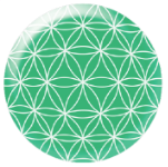 bioshield rozw 3 vegamedica