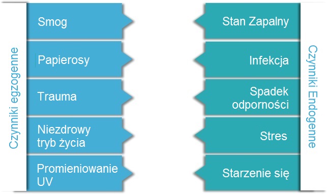 oligoscan tabela vegamedica