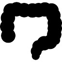 flora bakteryjna jelit a otyłość vegamedica