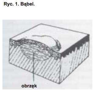 składniki pokarmowe jako ryc 1 vegamedica