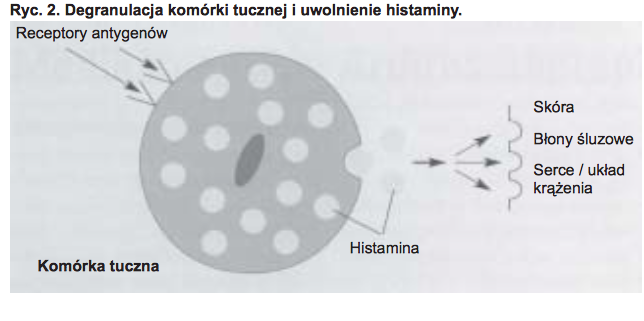składniki pokarmowe jako ryc 2 vegamedica