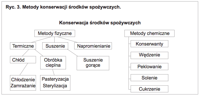 składniki pokarmowe jako ryc 3 vegamedica