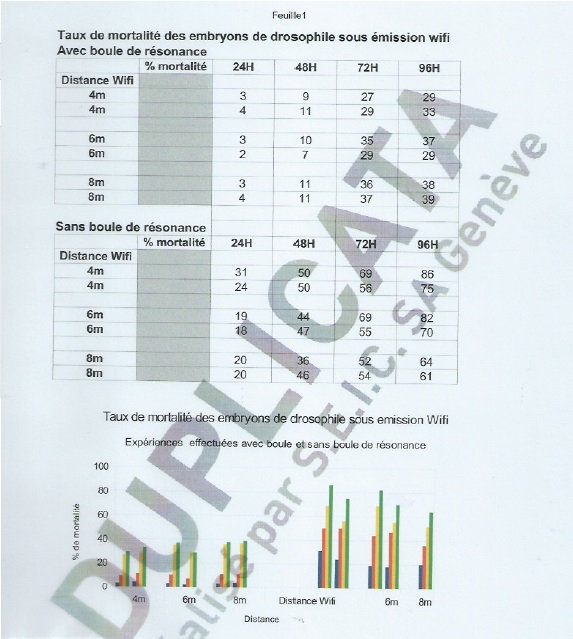 test wifi vegamedica